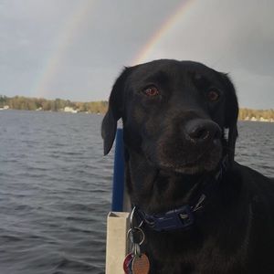 Meet your Posher, Emma